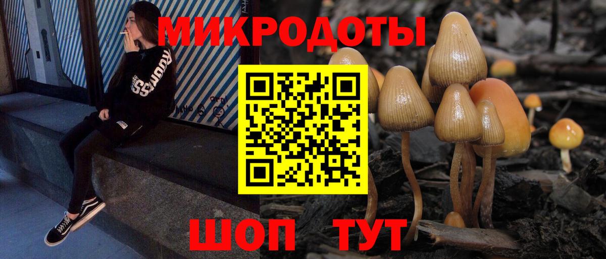 Псилоцибиновые грибы GOLDEN TEACHER  Вход с VPN  Калининград 